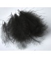 Sélection CDC Jmc 50 plumes Noires